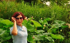 黄图动态图有叫声